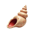 thumbnail image 4 of cartoon Seashell Stickers, Waterproof Seashell Sticker for Water Bottle Laptop Phone Cases Planner Skateboard Luggage Helmet Party Favor Decor, Ideal for Adults Teens Teacher Rewards, 4 of 9