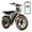 R004-Plus-25AH-Black(Walmart exclusive), variant on TST Electric Bike for Adults, 750W Peak 1500W Motor, 20"x4" Fat Tire, E Mountain Bike, 48V/15AH UL2849