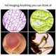 thumbnail image 4 of Microscopio de Bolsillo 160-80X para Niños Kit de Juguetes Científicos Educativo Portátil, 4 of 9