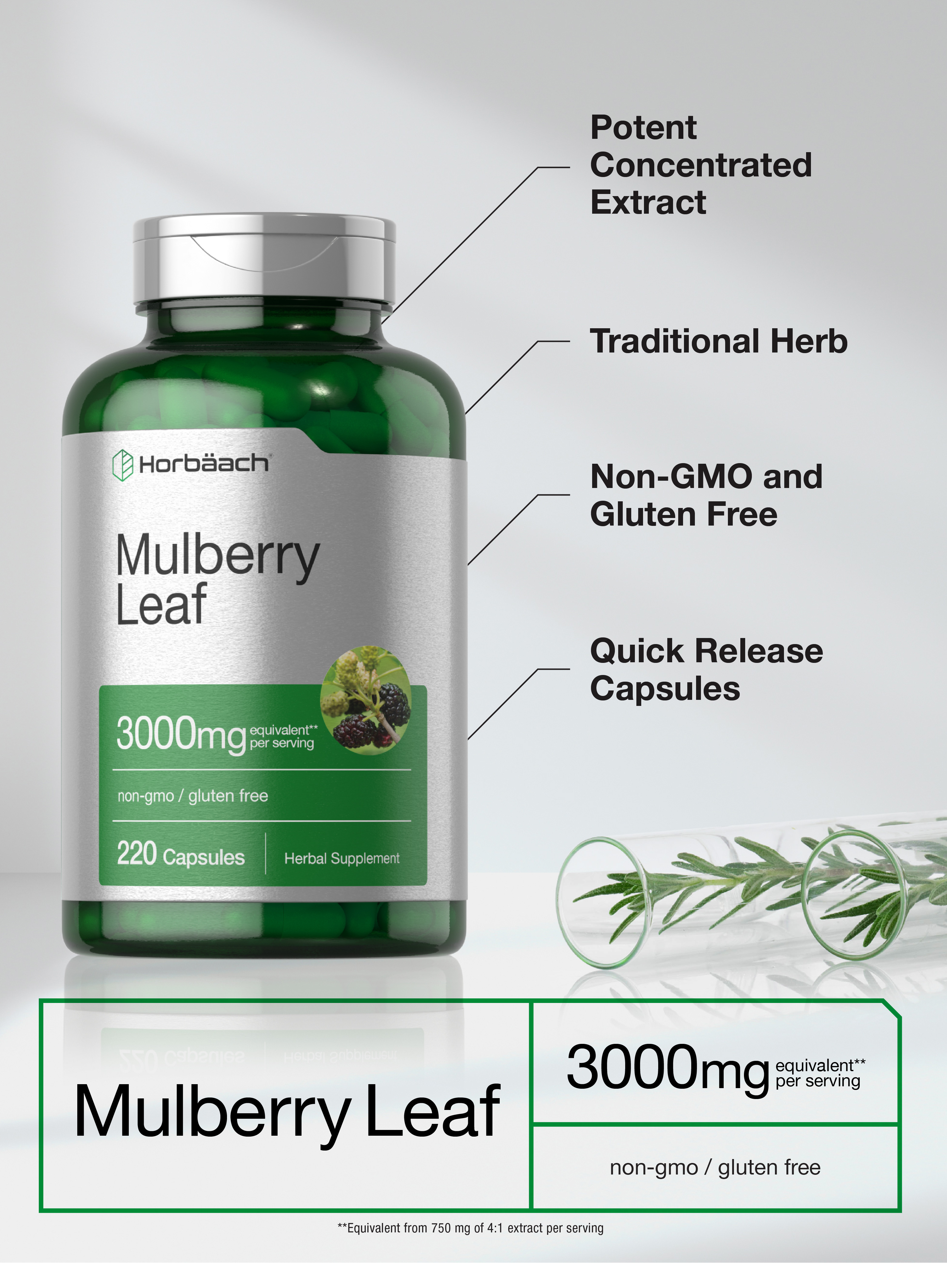 Mulberry Leaf Extract Capsules 3000mg | 220 Count | Non-GMO