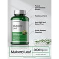 thumbnail image 4 of Mulberry Leaf Extract Capsules 3000mg | 220 Count | Non-GMO, Gluten Free Herbal Supplement | By Horbäach, 4 of 7