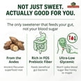 thumbnail image 5 of Organic Yacon Syrup - Natural Sweetener Syrup for Pancakes and Waffles & Coffee with Low Calorie - Keto Sugar Substitute for Honey, Agave, Maple, Molasses & Monk Fruit 8.8oz (250g), 5 of 6