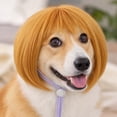 thumbnail image 6 of huayou Pet Bob Wig, Short Hair Costume Headpiece with Adjustable Tie Strap, Synthetic Hair Dress-up Accessory for Small & Medium Dogs and Cats, for Party, Cosplay & Daily Photography Use, 6 of 7