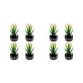 thumbnail image 1 of Cateissary 4 piezas de bonsái de bajo mantenimiento, plantas suculentas artificiales fáciles de limpiar y duraderas áloe de barbados 2Conjunto, 1 of 6