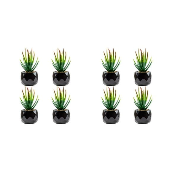 Langgg 4piece Easy To Clean Plants For Balcony Decoration Low Maintenance barbados aloe 2Set