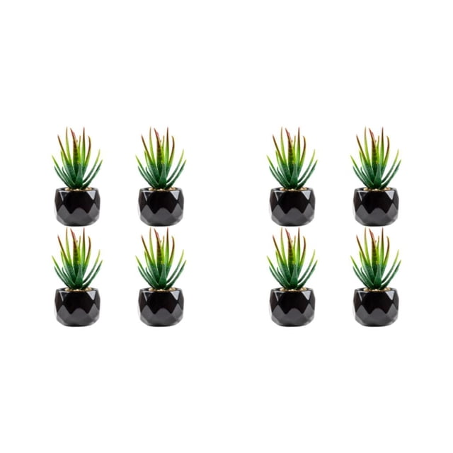 Cateissary 4 piezas de bonsái de bajo mantenimiento, plantas suculentas artificiales fáciles de limpiar y duraderas áloe de barbados 2Conjunto
