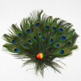 thumbnail image 1 of 1-100 Pcs Natural Peacock Tail Feathers 10-12'' For Bouquet Diy Home Decoration zhangyuxiang LED, 1 of 2