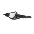 thumbnail image 4 of Realistic Magpie Statue, Simulation Bird Animal Model Toy for Kids, Educational Toy, Birthday Gift, 4 of 6