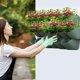 thumbnail image 2 of Juego de 6 Jardineras Verticales Actualizadas Worth Garden en Verde, 2 of 7