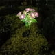 thumbnail image 4 of Toystoory Luces de flores con energía solar, luz solar para césped de rosas, luces decorativas para césped al aire libre, patio y jardín Iluminación y accesorios Amarillo blanco, 4 of 6