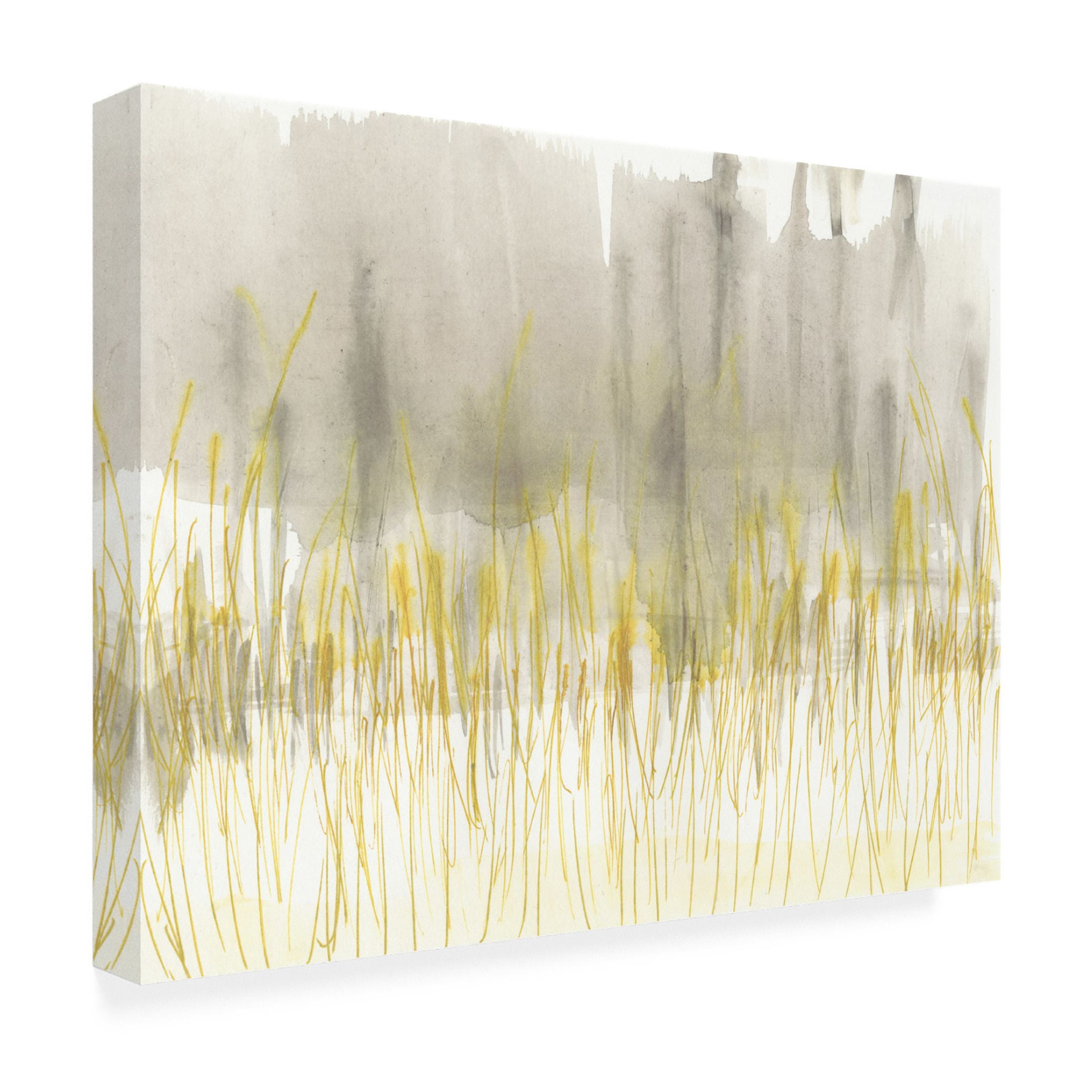 Canvas Wall Art - Jennifer Goldberger 'Winter Grasses II' Wall Art for Living Room, Bedroom, or Office Décor by Trademark Fine Art - 24 x 18 Inches