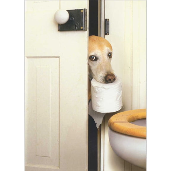 Avanti Press Dog Holding Toilet Paper Roll at Open Door Funny Get Well Card