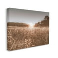 thumbnail image 3 of Stupell Industries Sunrise Country Meadow Tall Grass Light Burst Photography, 20 x 16,Design by Nathan Larson, 3 of 5