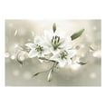 thumbnail image 3 of Tiptophomedecor Floral Wallpaper Wall Mural - Lily - Flower Of Masters, 3 of 4