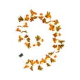 thumbnail image 1 of EASTIN Artificial Maple Leaf Rattan String Light Front Door Simulation Skull Party Window 3m/10ft Halloween Pumpkin Lights, 1 of 15