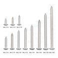 thumbnail image 4 of Tornillo de rosca Irfora A2 DIN7981 # 8 4.2mm 304 Tornillo de acero inoxidable Avellanado Tornillos de madera penetrantes 4.2mm * 30mm Irfora Tornillo de rosca, 4 of 7