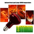 Photo inspiration: Gallery Detail: Mclanzoo 2 Pack 100W Reptile Heat Lamp Bulb Infrared Basking