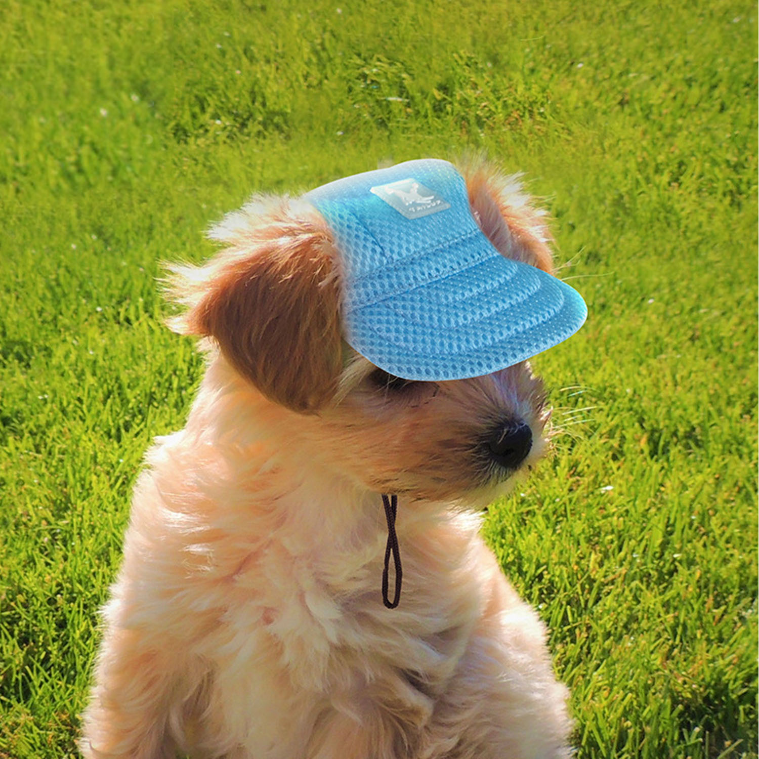 Pet dog sunshade Baseball jean material travel Hats For Dogs breathable dog  baseball Caps