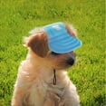 thumbnail image 5 of BT Bear Dog Hat with Ear Holes, Dog Baseball Mesh Cap, Adjustable Summer Travel Sport Hat For Small Medium Dogs Blue L, 5 of 6