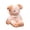 Pig, variant on Adorable Plush Fox Stuffed Animal Toy Soft and Cuddly Bear Plushie for Kids and Adults, Perfect Gift