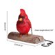 thumbnail image 2 of Adornos De Pájaro Cardenal Estatua De Pájaro De Resina Colgante Para Decoración De Jardín Al Aire Libre Cateissary HA037033-00, 2 of 6