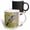 Multicolor, variant on 3drose, Florida Scrub-jay, Cruickshank Sanctuary. Brevard County, Florida., 11oz Magic Transforming Mug