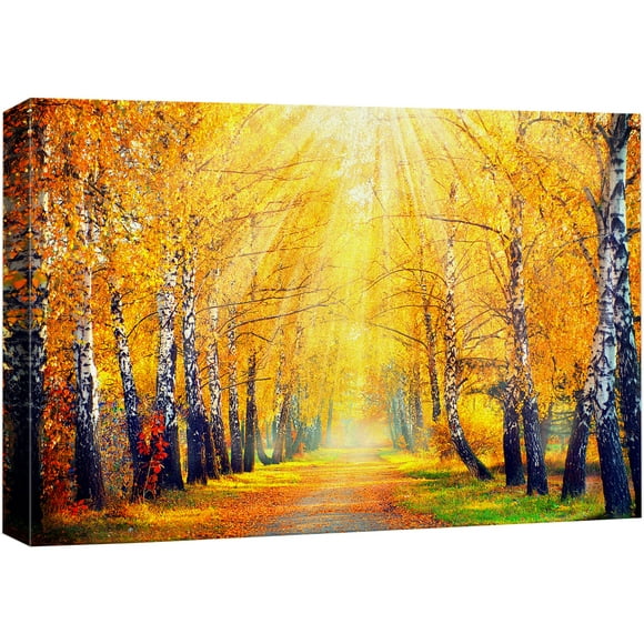 wall26 Impression sur Toile Art Mural Soleil sur Jaune Automne Forêt Chemin Nature Photographie Moderne Art Rustique Coloré Multicolore pour Salon, Chambre, Bureau - 16"x24 Pouces