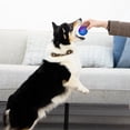thumbnail image 4 of Ball, Squeaker, Small, 2 pk, 4 of 5