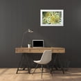 thumbnail image 3 of Noble Gardner, Nancy 32x23 White Modern Wood Framed Museum Art Print Titled - NY, Slingerlands Oriental lilies abstract, 3 of 4
