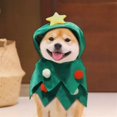 thumbnail image 1 of Festive Winter Holiday Pet Headwear For Dogs And Cats Seasonal Apparel Outfit, 1 of 3
