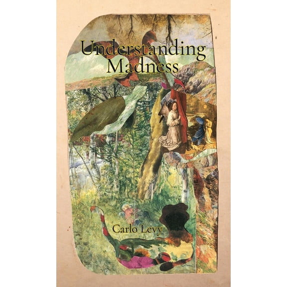 Understanding Madness, (Paperback)