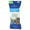Navitas Organics Blueberry Hemp Power Snacks, 1.05 Ounce -- 12 per case.