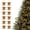 Brown, variant on HOARBOEG 12 Pcs Burgundy Velvet Christmas Bows for Tree Wreath Gift Wrap, Small Craft Bows for Snack Bags, Candy Bags, Baking, Wedding Party, Home Holiday Decoration, 3.1in
