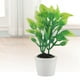 thumbnail image 2 of Planta verde en miniatura, Planta verde en miniatura artificial Planta verde artificial Planta en maceta artificial Uso conveniente, 2 of 8