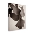 thumbnail image 2 of Trademark Fine Art 'Gingko Sepia' Canvas Art by Debra Van Swearingen, 2 of 4