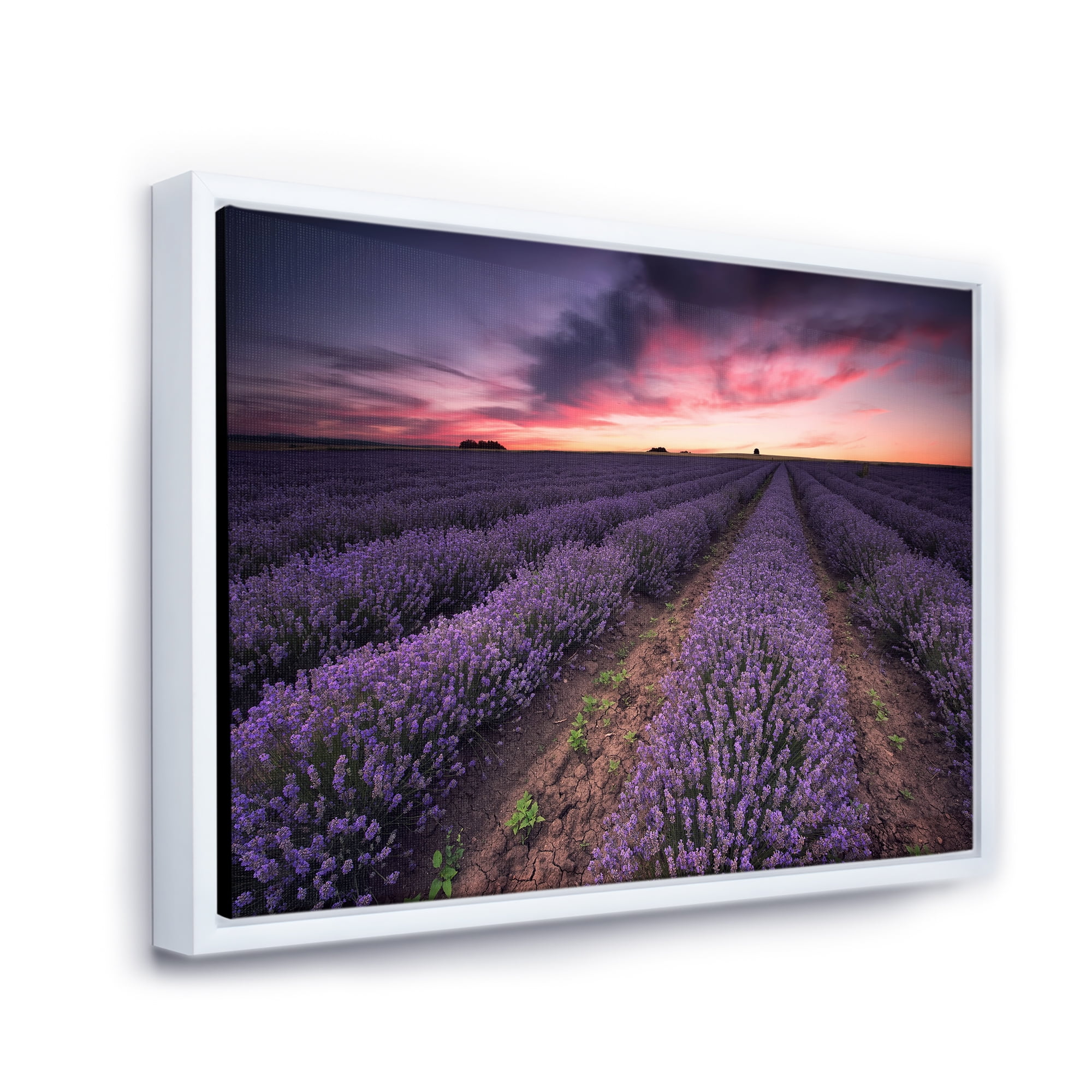 Designart 'Dramatic Clouds and Sunrise Over Lavender Field IX' Farmhouse Framed Canvas Wall Art Print