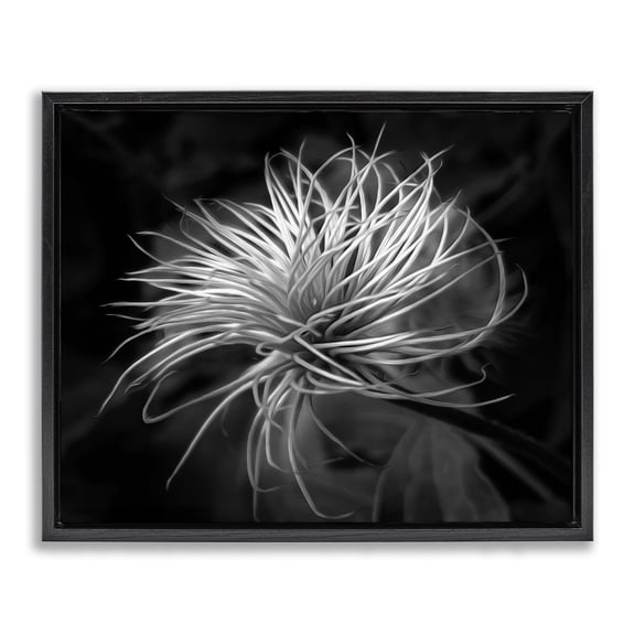 Stupell Industries Scandinavian Twisting Botanical Leaves Contrast Black Floating Frame Canvas Art, 21 x 17, by Phillip Flowers