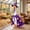 12 Multicolor Wizard, variant on AuroraX Halloween 23" Porch Goose Clothes Sets 17 inch Autumn , Witch Dress 19 inch Porch Goose Outfits Fall Seasonal Halloween Decorations Outdoor Front Porch Goose Accessories