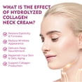 thumbnail image 4 of 4pcs Hydrolyzed Collagen Neck Cream, Fade Neck Lines Shaping Swan Neck Smooth White Neck Cream, 4 of 5