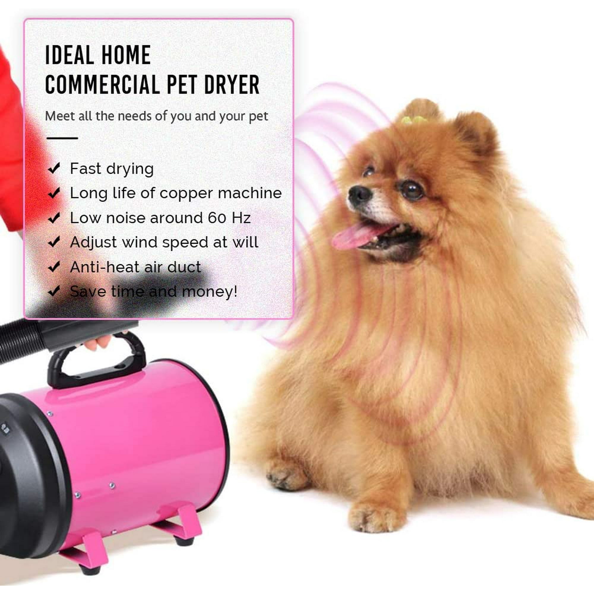 IGUOHAO Dog Pet Grooming Hair Dryer Professional High Velocity Blower Hot and Cold 30 70 Adjustable for Medium Large Big Dog 2800W