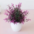 thumbnail image 3 of Artificial Potted Small, Grass in White Pot for Indoor Decor, for Desk, Office, Bathroom, Table Centerpieces, and Home Decor, Low Maintenance Greenery, 3 of 5