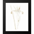 thumbnail image 2 of Wild Apple Portfolio 15x18 Black Modern Framed Museum Art Print Titled - Gilded Botanical III, 2 of 5
