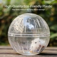 thumbnail image 4 of Transparent Interactive Hamster Exercise Small Animal Activity Training Toy for Enrichment and Physical Movement Stimulation, 4 of 5