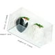 thumbnail image 5 of Cajas para Fresas Cubiertas de Chocolate RomanticBaking Paquete de 100, 5 of 7