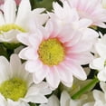thumbnail image 4 of 4 Bundles Artificial Daisy Flower, Faux Silk Wildflowers,Plastic Fake Marguerite Daisy Flowers Bouquet for Farmhouse DIY Home Garden Indoor Outdoor Decoration Table Centerpieces, Pink, 4 of 9