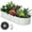 Oval 6*3*1FT Beige, variant on ChaoLink 6x2x1ft Galvanized Raised Garden Bed with Open-Ended Base, Outdoor Metal Planter Box