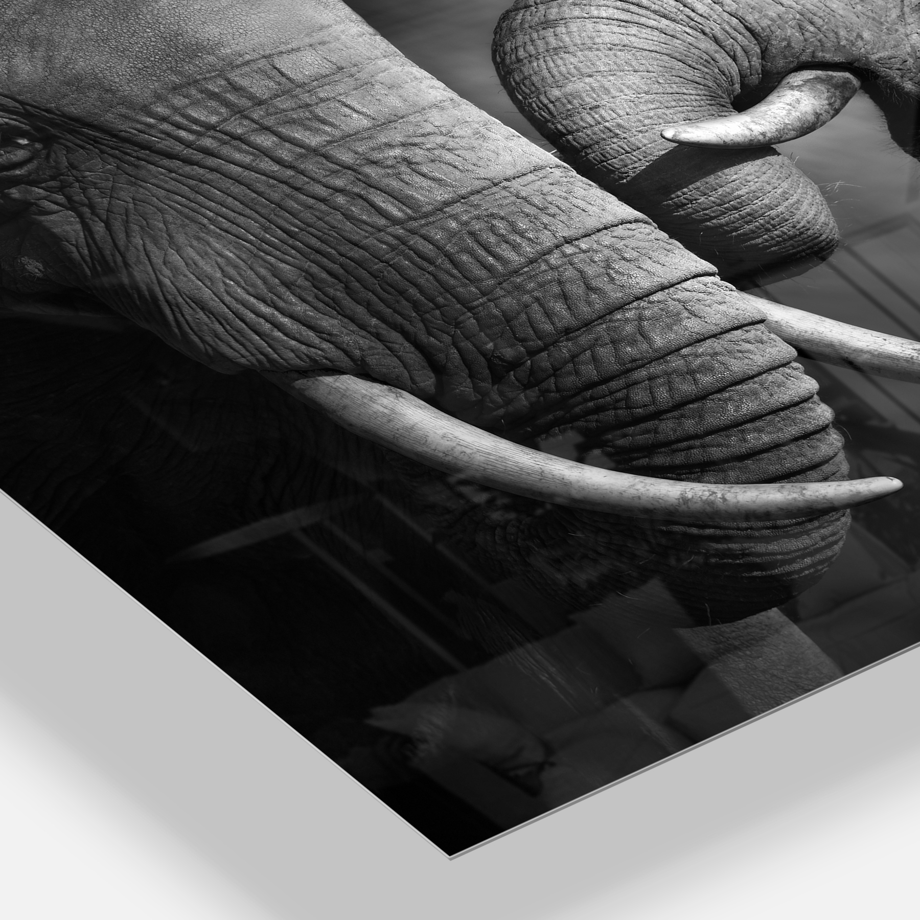 Designart 'Elephants Showing Affection ' Abstract Metal Wall Art