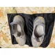 thumbnail image 4 of Yeezy 350 Israfil, 4 of 5