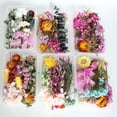 thumbnail image 2 of Farfi Dried Flowers Home Photography Props DIY Ornament Craft Specimen Accessories (Random Color&Pattern), 2 of 13