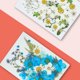 thumbnail image 4 of Artesanía de flores secas naturales Ramos en relieve Flores prensadas Decoraciones florales Decorativos para el hogar para tarjetas de boda Vela de resina azul floral B Speravity HA010758-01, 4 of 7